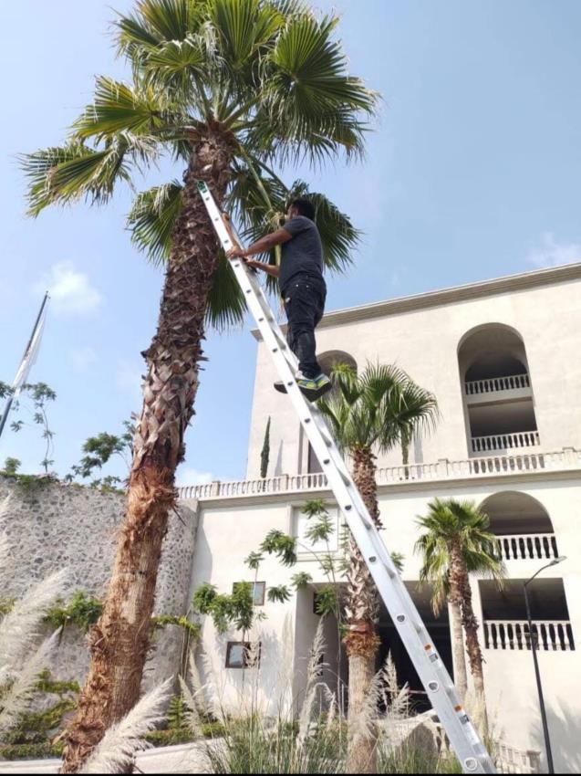 Servicio de jardinería en Bosques y Lomas de Chapultepec, Jardineros en Bosques y Lomas de Chapultepec